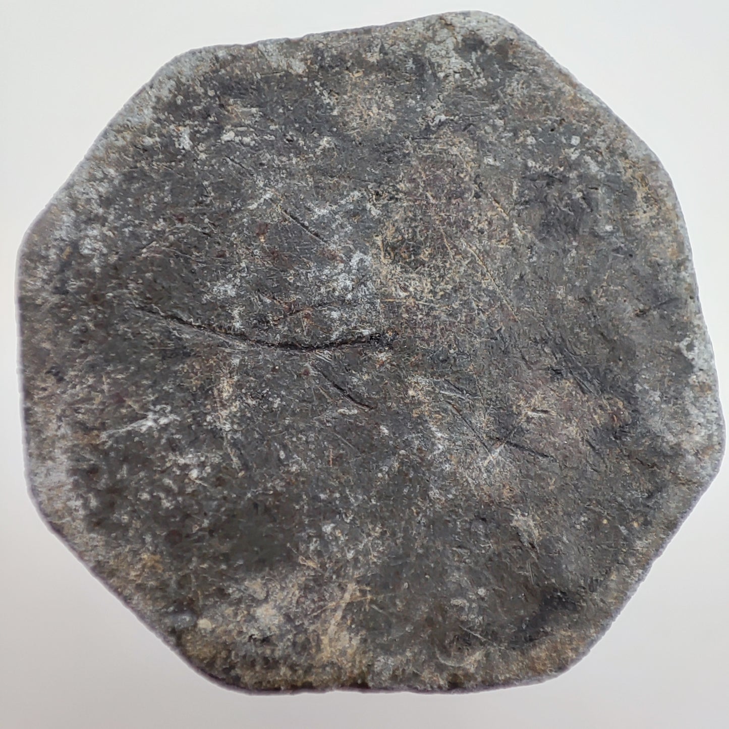 1769 Scottish Communion Token - Jn McIntyre Minister, Amulree