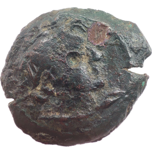 145-116BCE Greece, Ptolemaic Kingdom of Egypt Bronze Unit, Ptolemy VIII, Kyrene (Libya) Mint