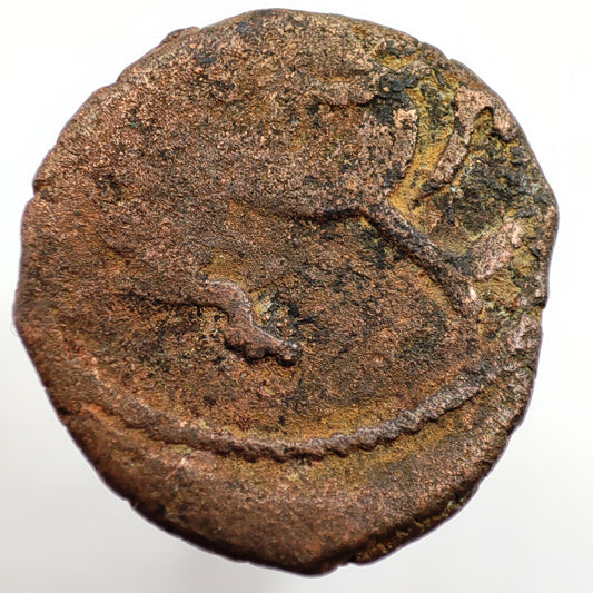 800-1000CE, Shahis of Ohind, Vakka Deva Jital