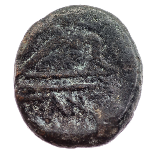 140-108BCE Bosporan Kingdom Bronze Unit (Pantikapion)