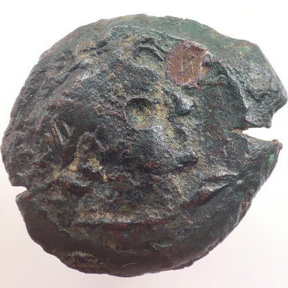 145-116BCE Greece, Ptolemaic Kingdom of Egypt Bronze Unit, Ptolemy VIII, Kyrene (Libya) Mint
