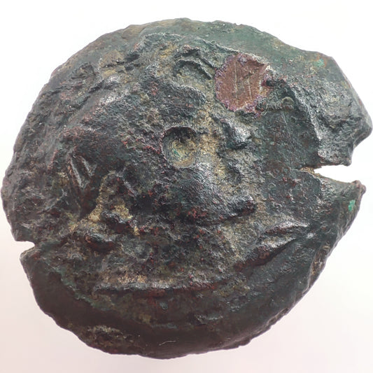 145-116BCE Greece, Ptolemaic Kingdom of Egypt Bronze Unit, Ptolemy VIII, Kyrene (Libya) Mint