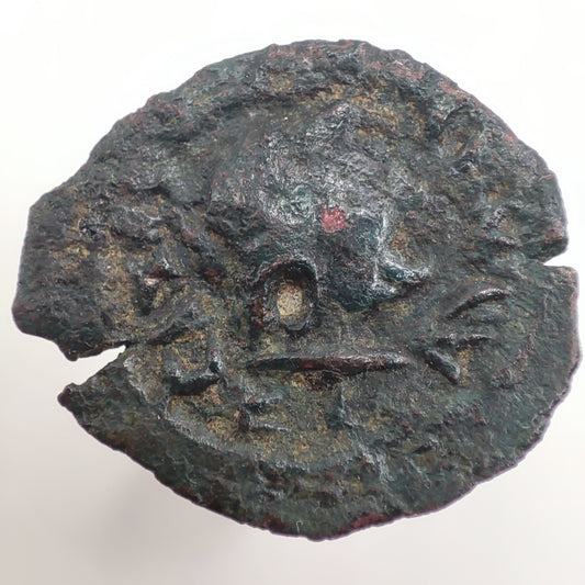 145-116BCE Greece, Ptolemaic Kingdom of Egypt Bronze Unit, Ptolemy VIII, Kyrene (Libya) Mint