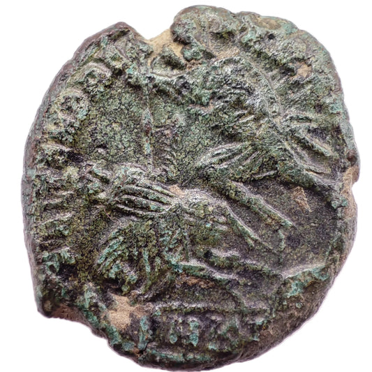 351-352CE Rome, Constantinus Gallus Æ3, Cyzicus Mint