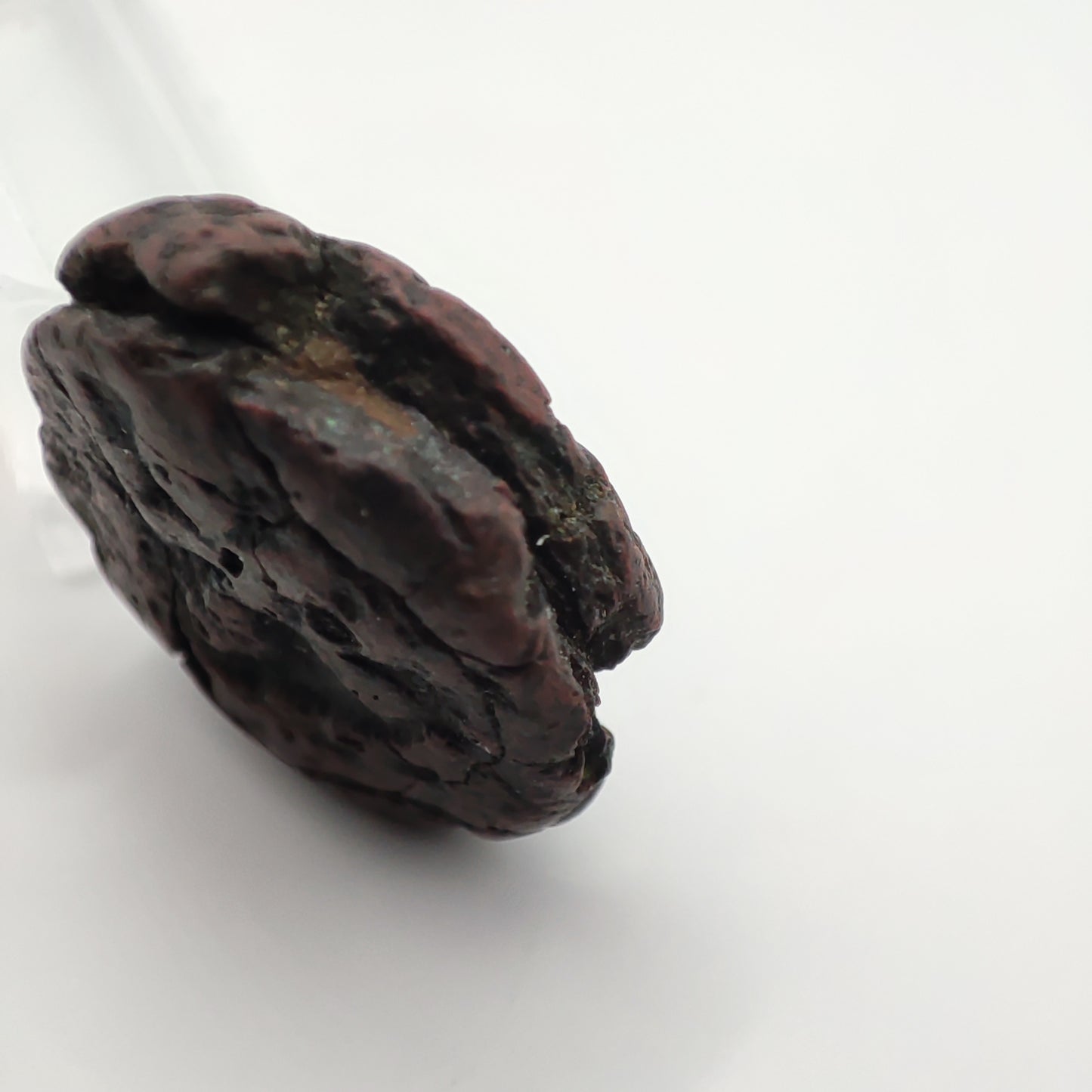 c. 45-65CE Panchala Kingdom 1/2 Karshapana (Indramitra)