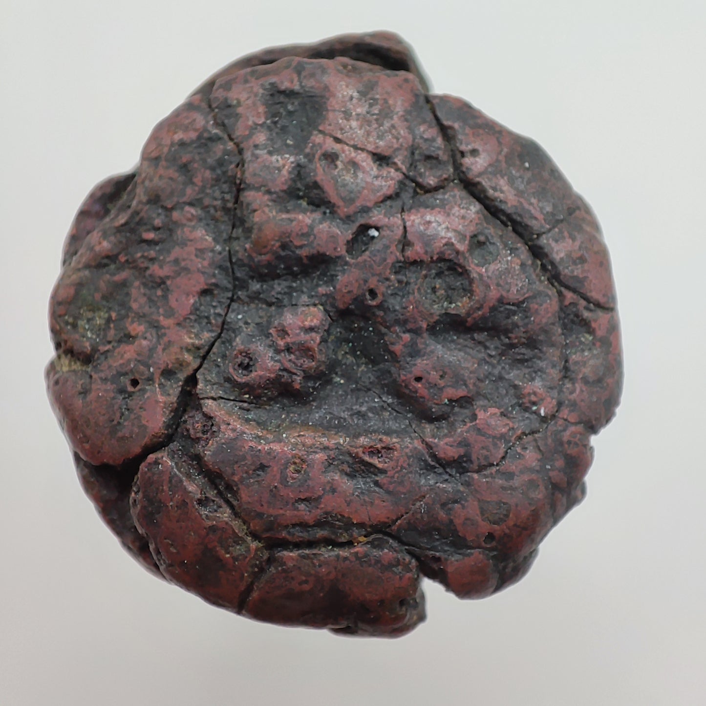 c. 45-65CE Panchala Kingdom 1/2 Karshapana (Indramitra)