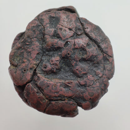 c. 45-65CE Panchala Kingdom 1/2 Karshapana (Indramitra)