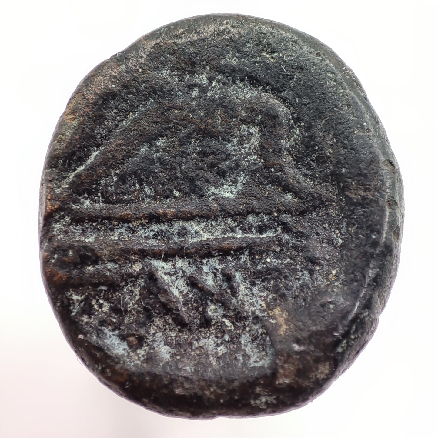 140-108BCE Bosporan Kingdom Bronze Unit (Pantikapion)